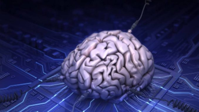www.criticalmatters.net.article.wetware-2