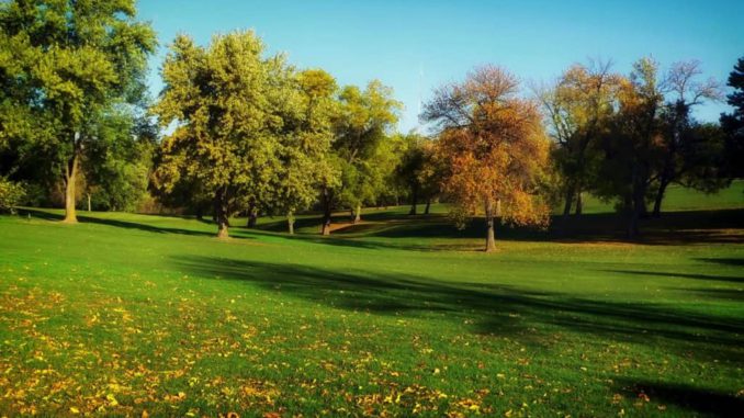 www.criticalmatters.net.article.green-spaces-2