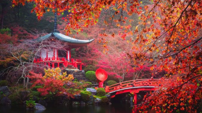 www.criticalmatters.net.article.far-east-3