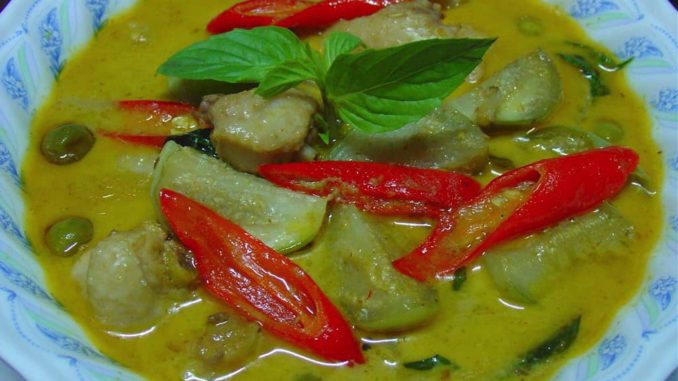 www.criticalmatters.net.article.thai-green-curry-2