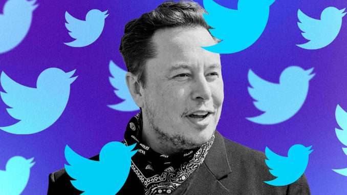 www.criticalmatters.net.news.article.zine__2022__twitter-musk