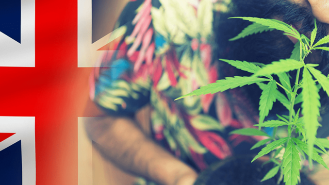 www.criticalmatters.net.news.article.zine__2022__uk-weed-regulations