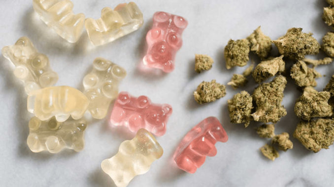 www.criticalmatters.net.news.article.zine__2022__weed-edibles